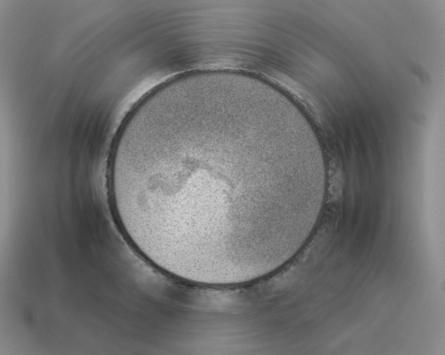 X0000114221086200911061501