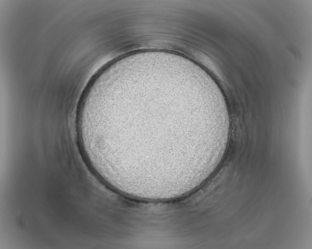 X0000114221087200911061501