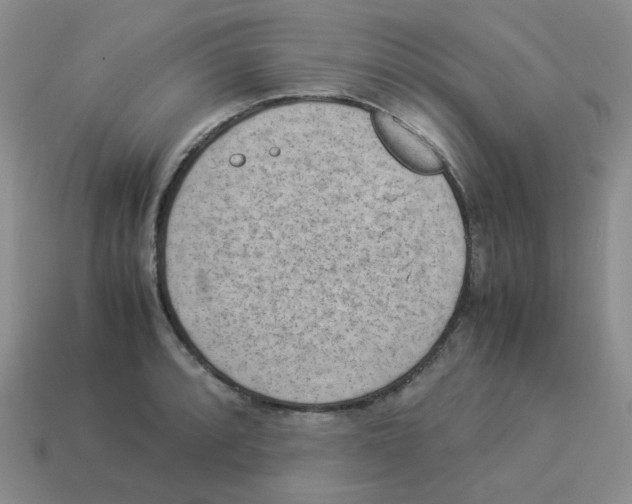 X0000114221088200911061501