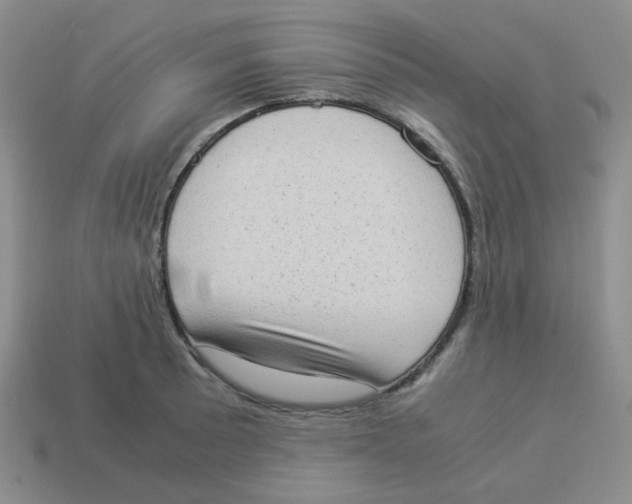 X0000114221089200911061501