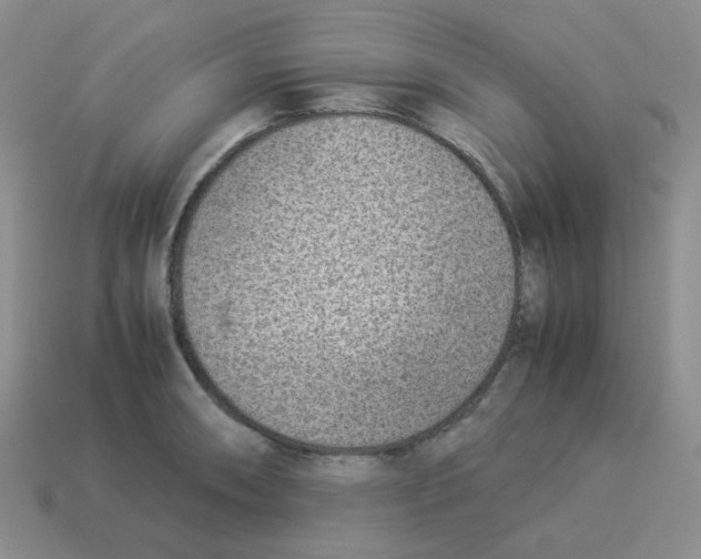 X0000114221090200911061501