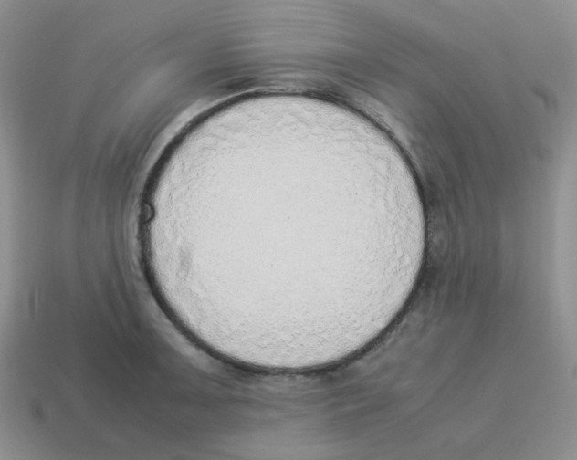 X0000114221091200911061501