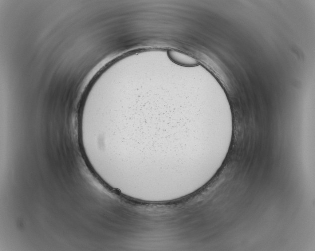 X0000114221092200911061501