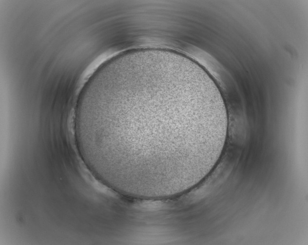 X0000114221094200911061501