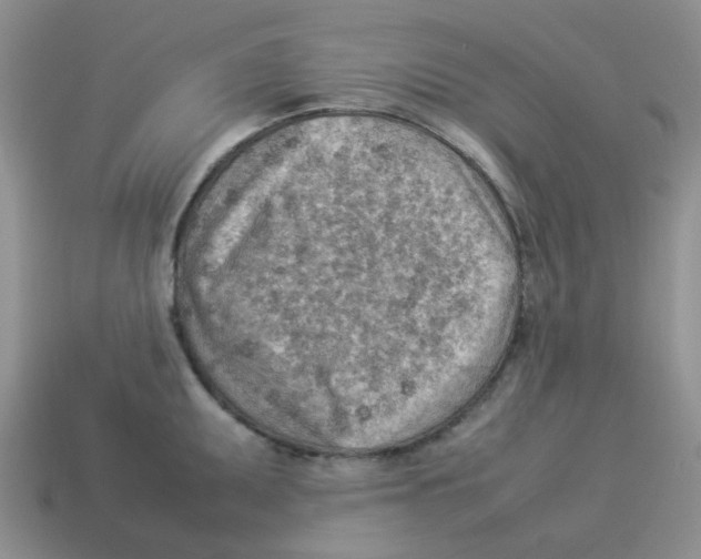 X0000114221095200911061501