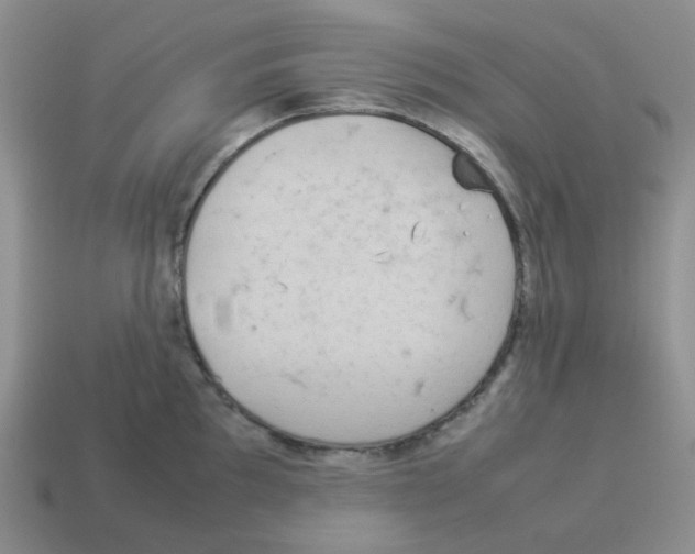 X0000114221097200911061501