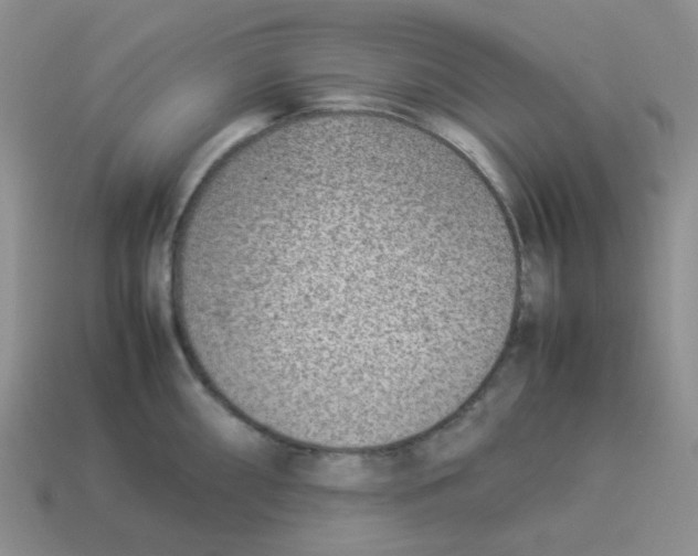 X0000114221098200911061501