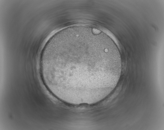 X0000114221099200911061501