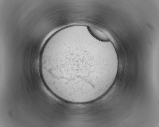 X0000114221100200911061501