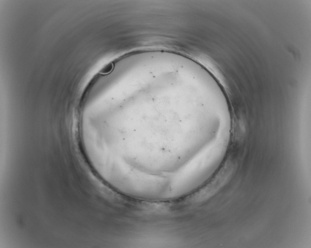 X0000114221101200911061501