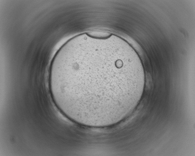 X0000114221102200911061501