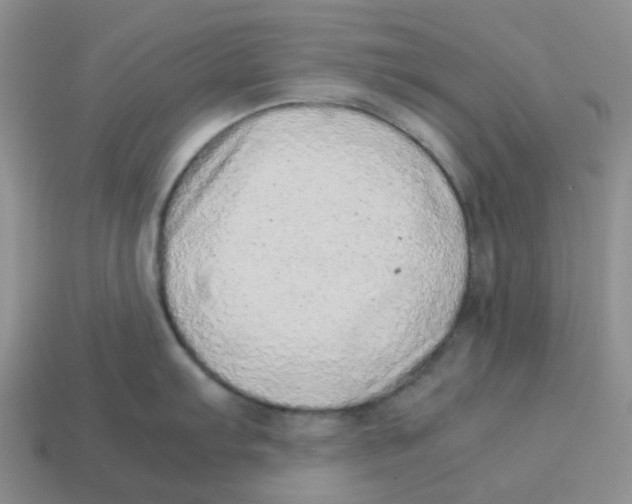 X0000114221103200911061501