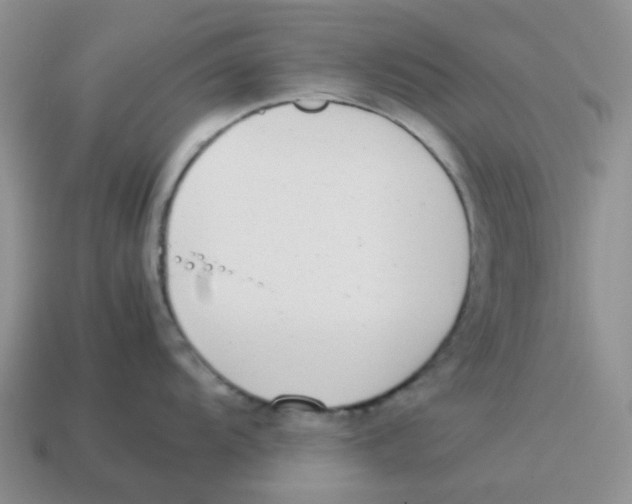 X0000114221104200911061501