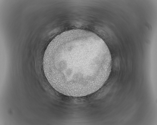 X0000114221105200911061501