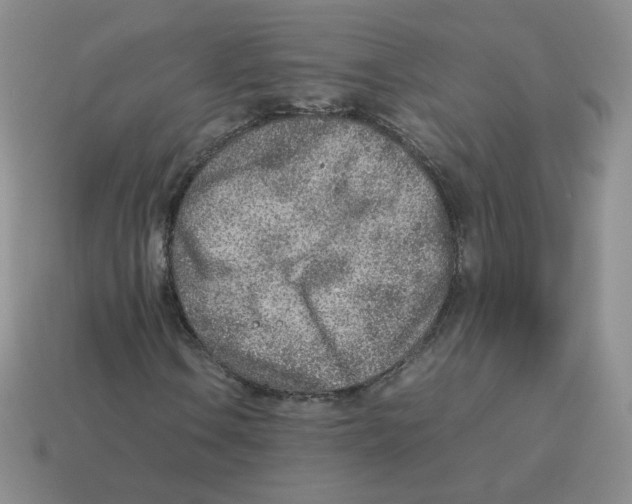 X0000114221106200911061501