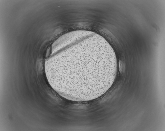 X0000114221107200911061501