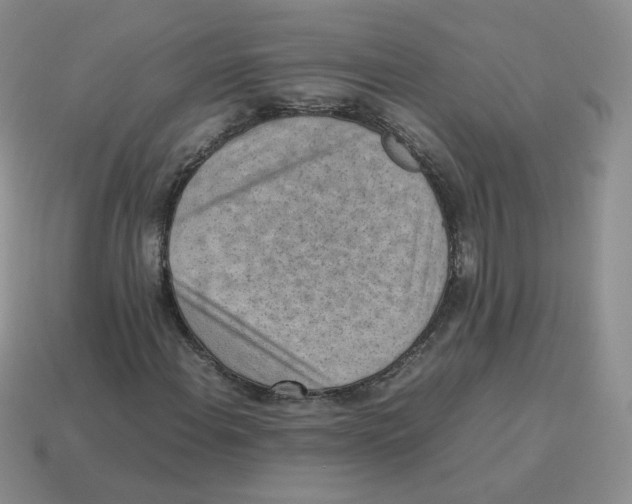 X0000114221108200911061501