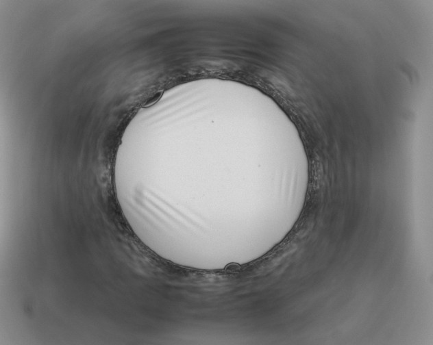 X0000114221109200911061501