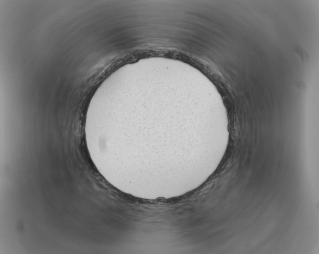 X0000114221110200911061501