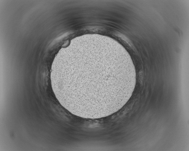 X0000114221111200911061501