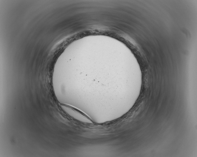 X0000114221112200911061501