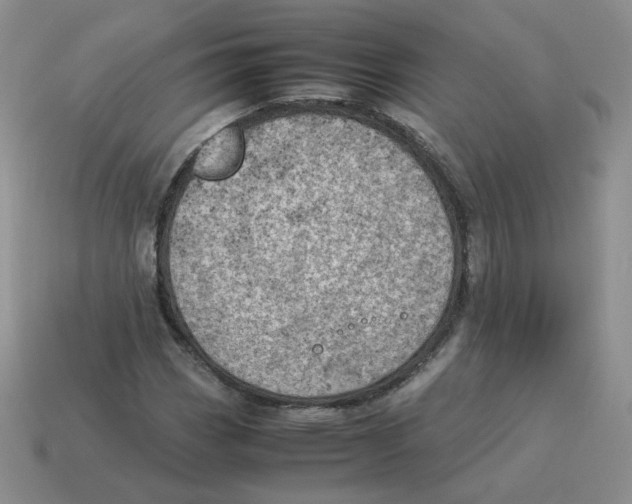 X0000114221113200911061501