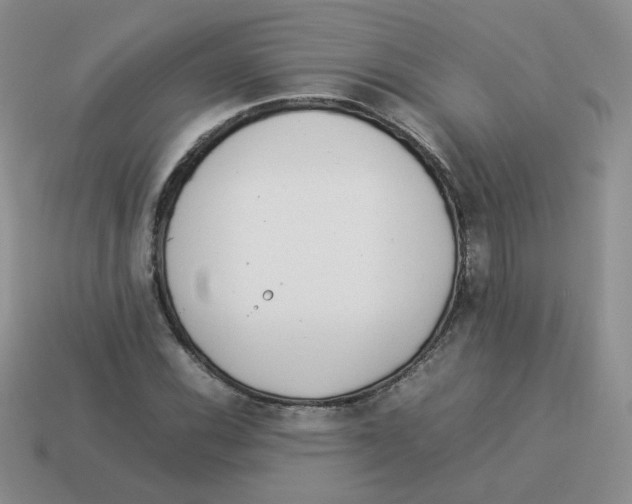 X0000114221116200911061501