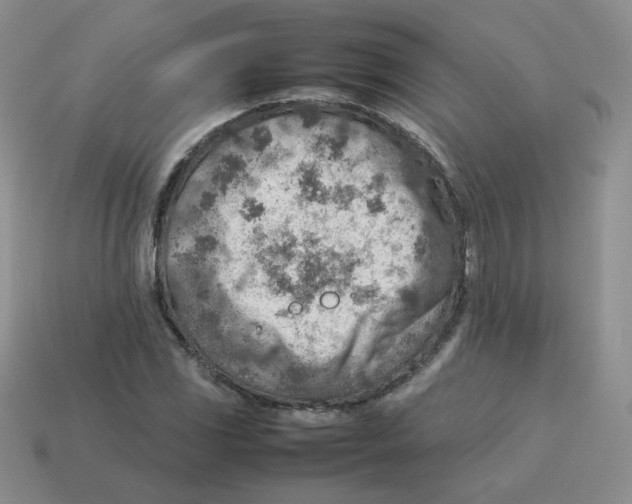 X0000114221117200911061501