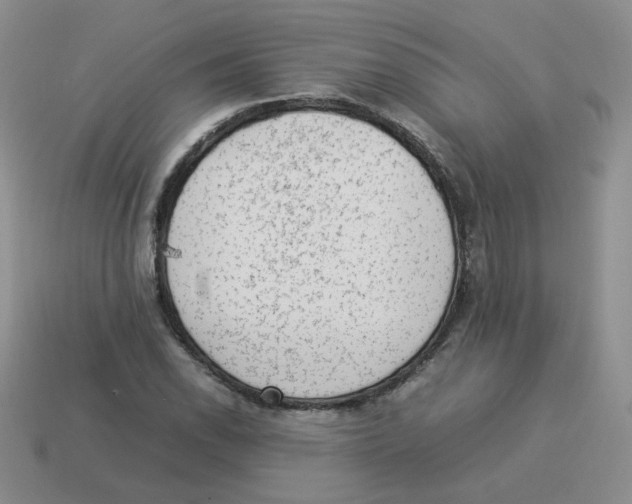 X0000114221118200911061501