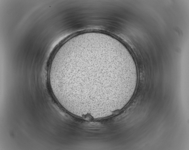 X0000114221119200911061501