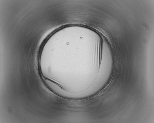 X0000114221120200911061501