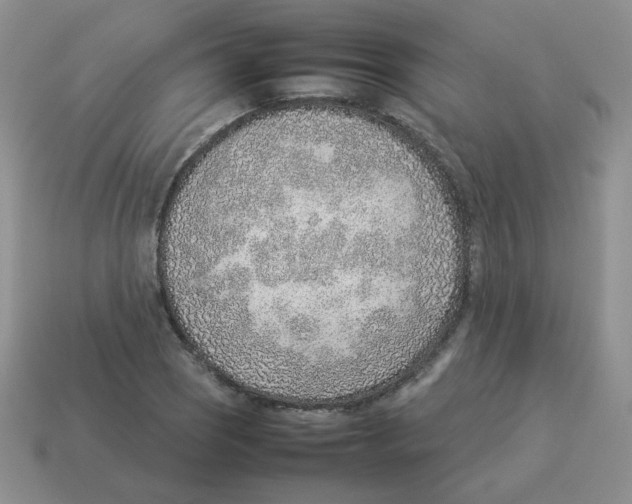 X0000114221121200911061501