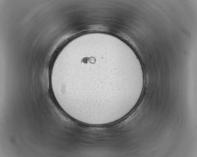 X0000114221123200911061501