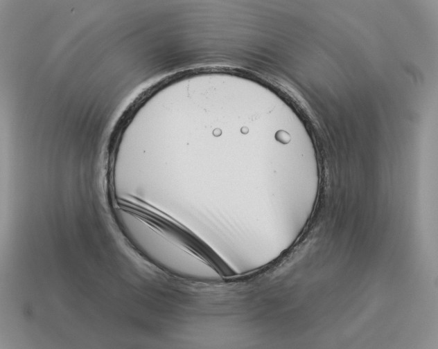 X0000114221124200911061501