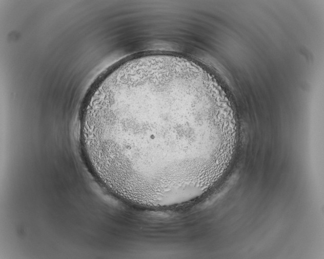 X0000114221125200911061501