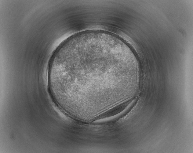 X0000114221127200911061501