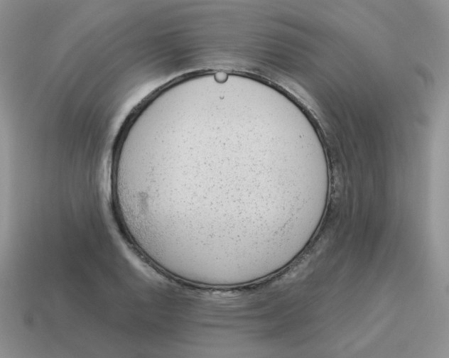 X0000114221128200911061501