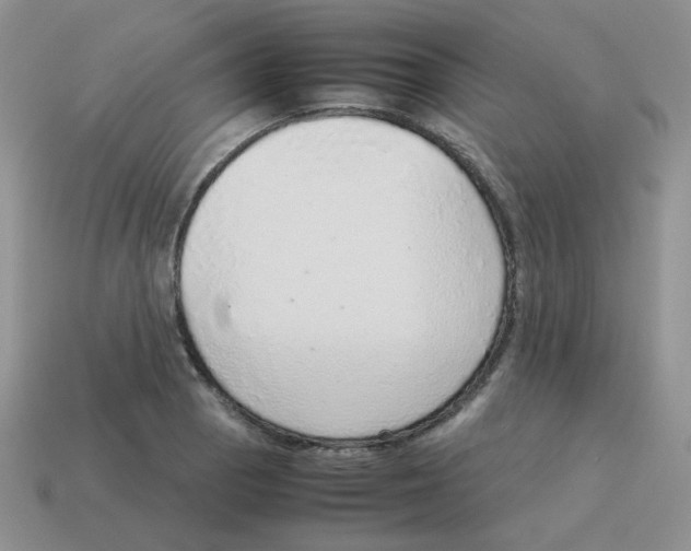 X0000114221129200911061501