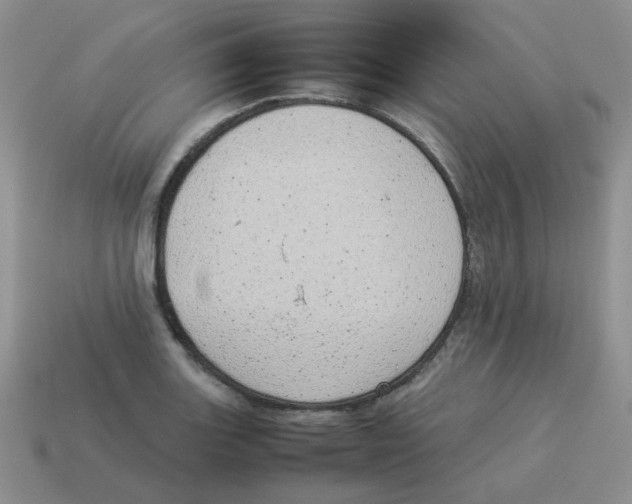 X0000114221131200911061501