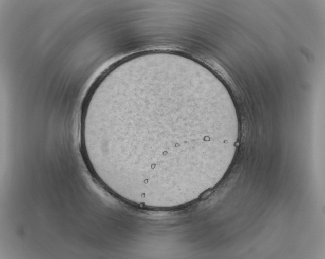 X0000114221132200911061501