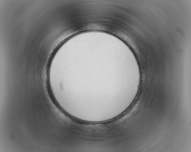 X0000114221133200911061501