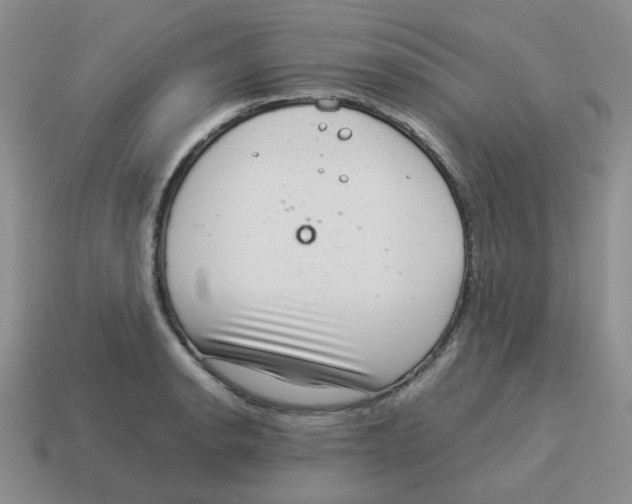 X0000114221134200911061501