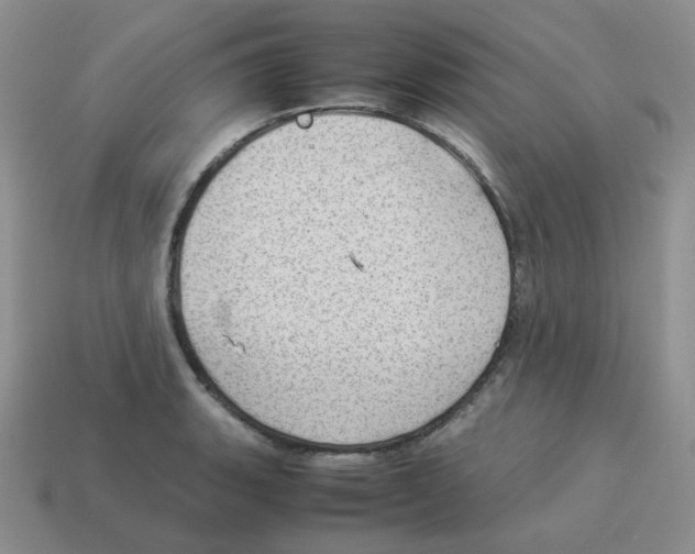 X0000114221135200911061501