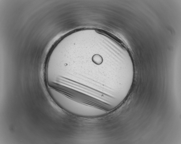 X0000114221136200911061501