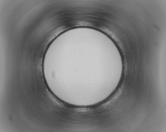 X0000114221137200911061501