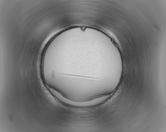 X0000114221138200911061501