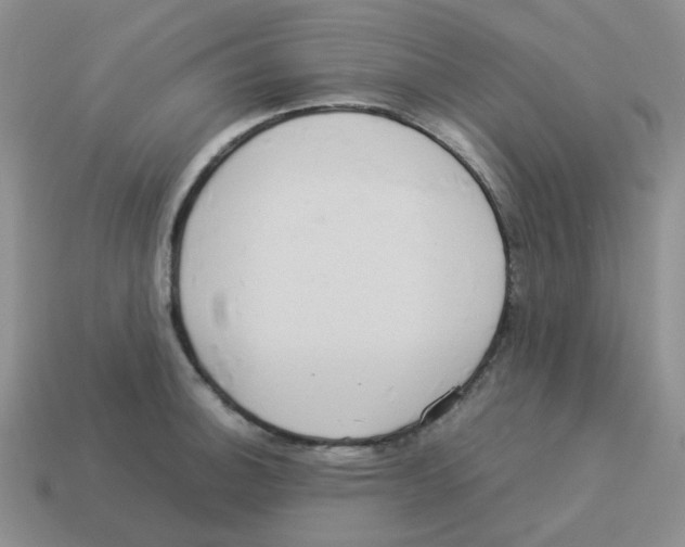 X0000114221140200911061501