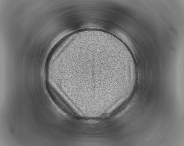 X0000114221141200911061501