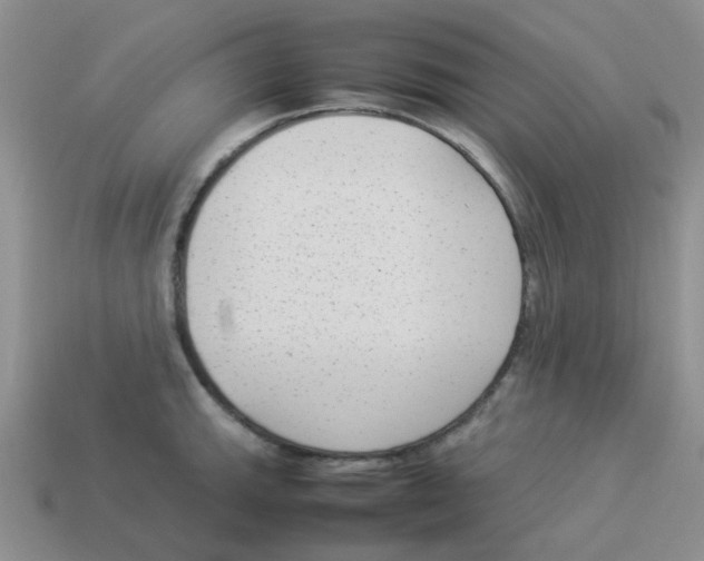 X0000114221143200911061501