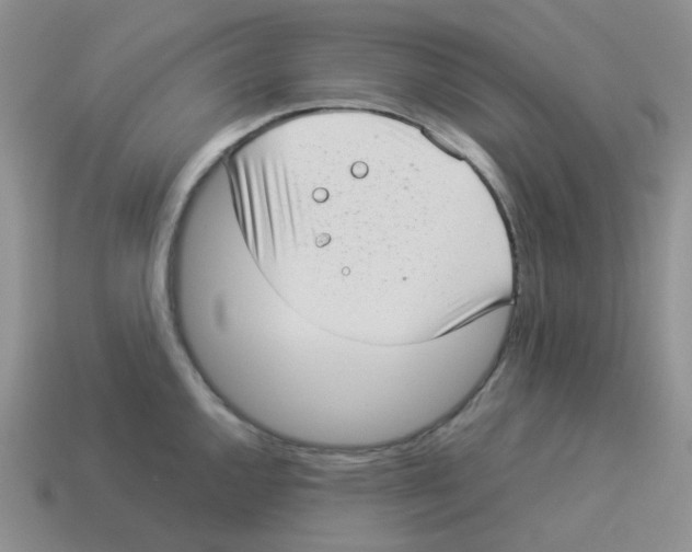 X0000114221144200911061501